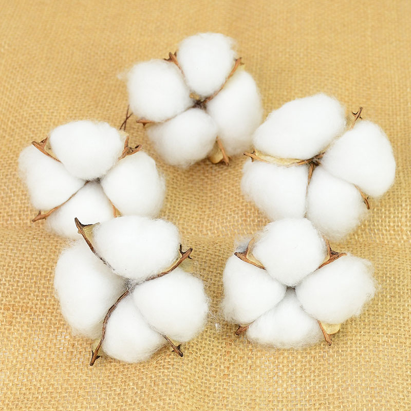 Florist Wreath Supply - 10Pcs White Cotton Florist Supplies Wedding