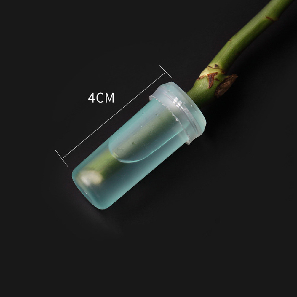 20Pcs Floral Water Tubes 4.1x1 - Stem Extender Tube ulasan dan harga