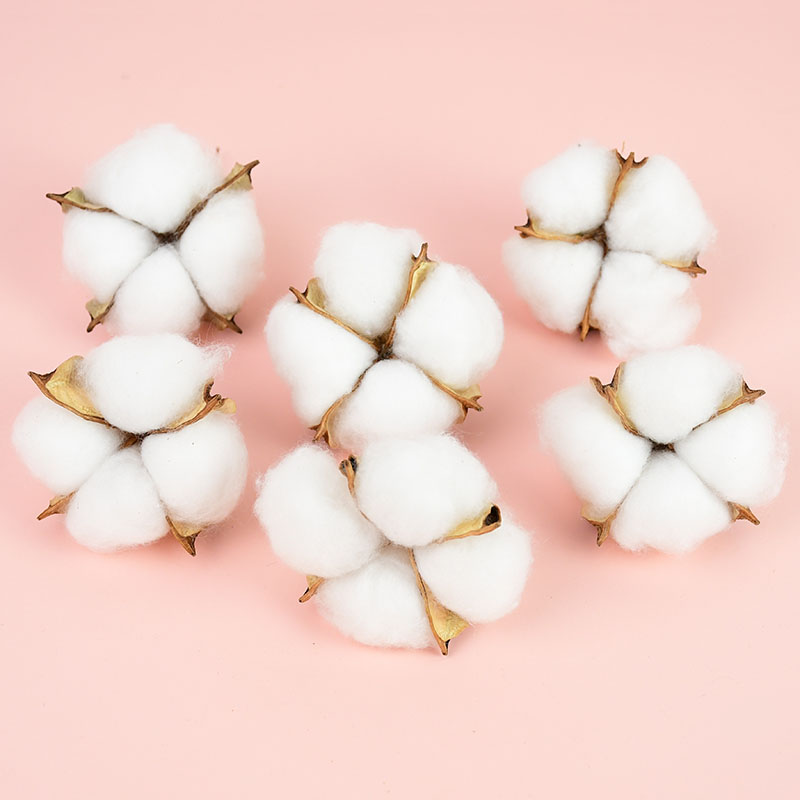 10Pcs White Cotton Florist Sup - Florist Wreath Supply ulasan dan harga