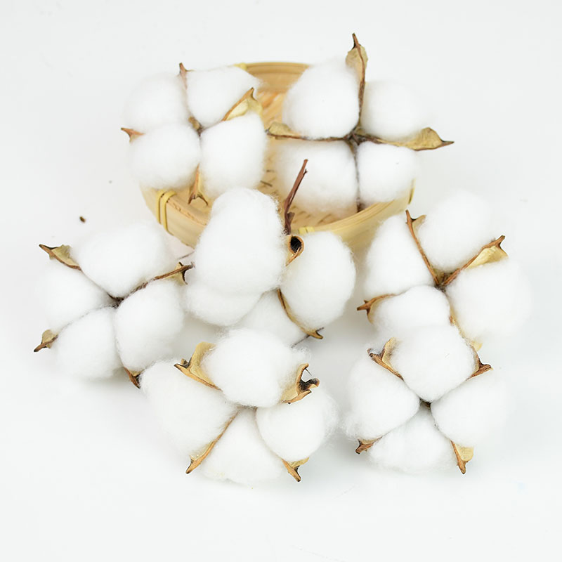 10Pcs White Cotton Florist Sup - Florist Wreath Supply ulasan dan harga