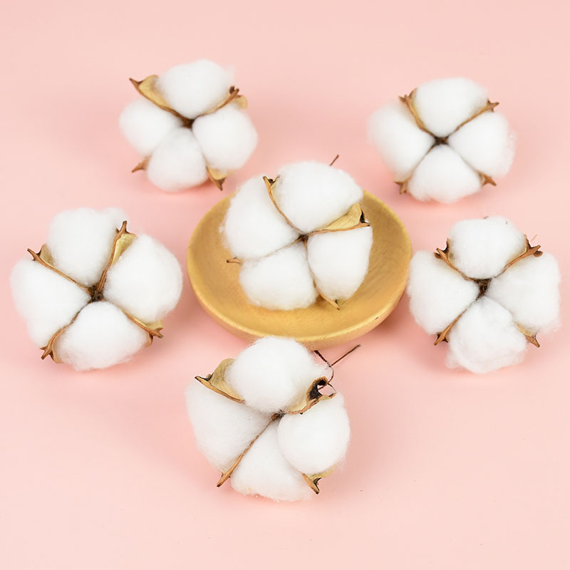 10Pcs White Cotton Florist Sup - Florist Wreath Supply ulasan dan harga